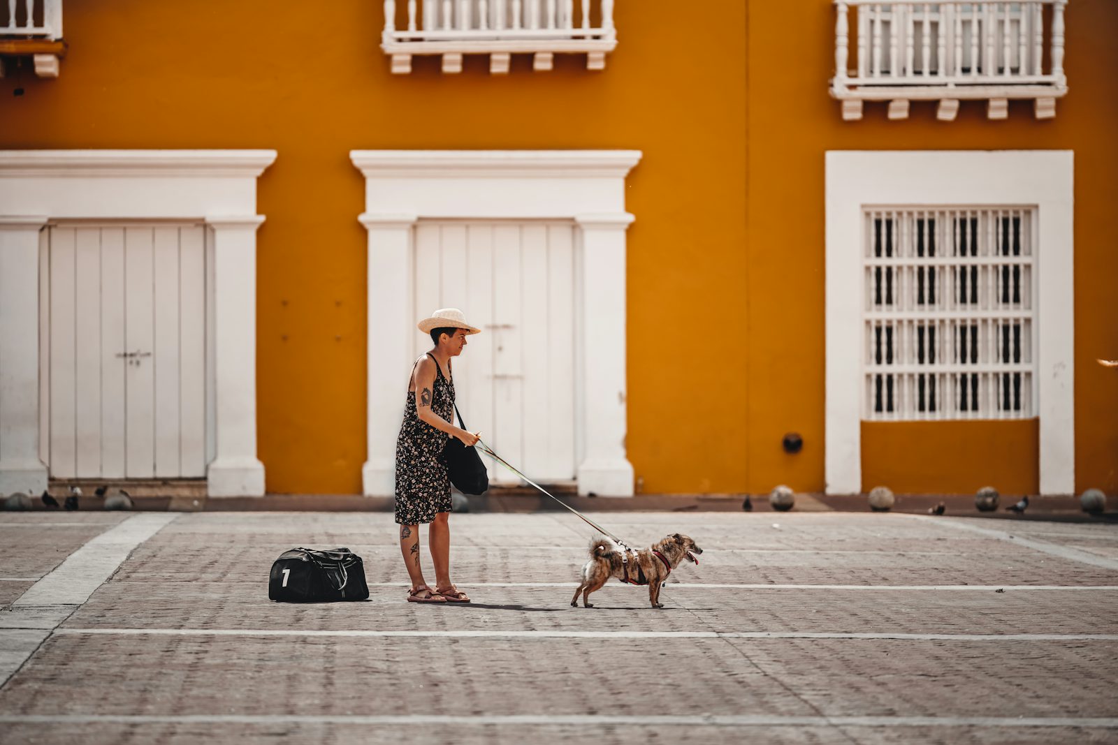 Mujer mayor viajando con su perro y una maleta