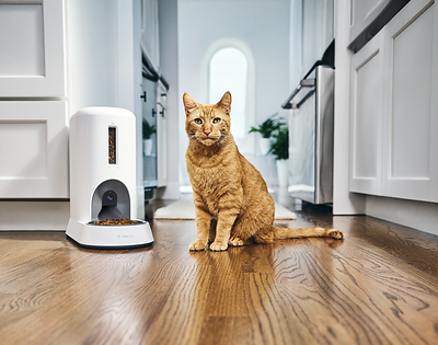 Comedero inteligente Petivity Smart Feeder for Cats de Purina, con reconocimiento facial por IA