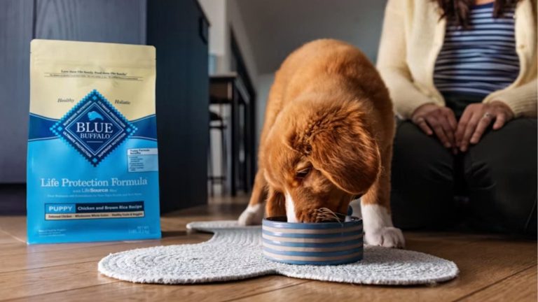 Herramienta de IA de Blue Buffalo para comparar alimento para perros usando Gemini de Google