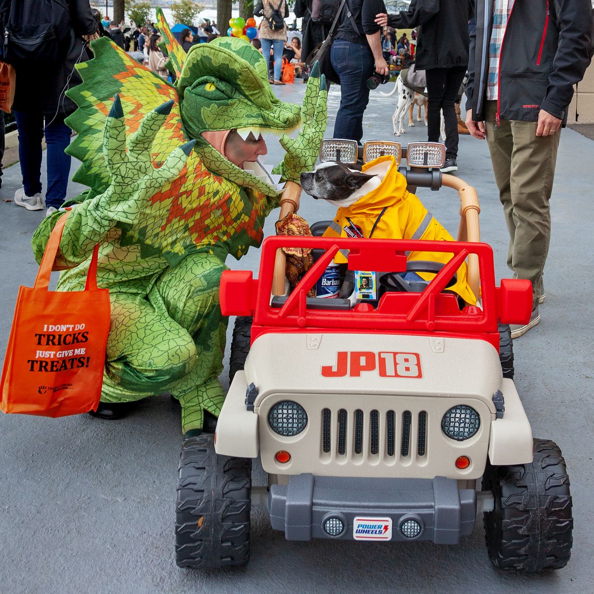 Perro vestido de guardabosques de Jurassic Park en un jeep de juguete, con su dueño disfrazado de raptor