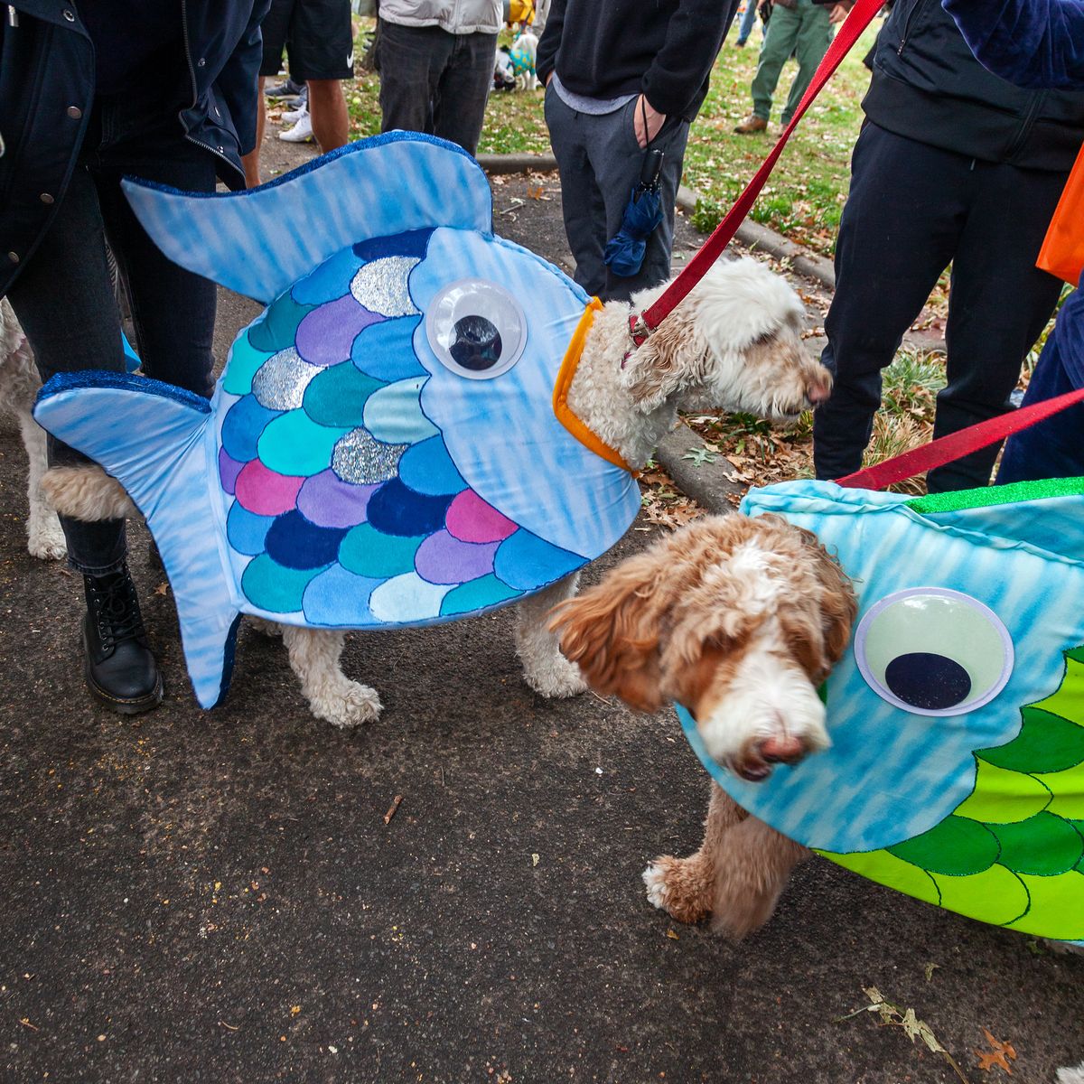 Dos perros disfrazados del Pez Arcoíris en el desfile de Tompkins Square