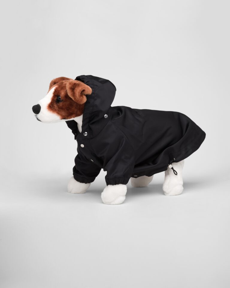 Prada viste a los perros con un impermeable de nylon reciclado que apoya la educación oceánica