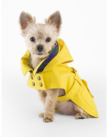 Ralph Lauren viste a los perros con cachemira, Pony bordado y Polo Bear