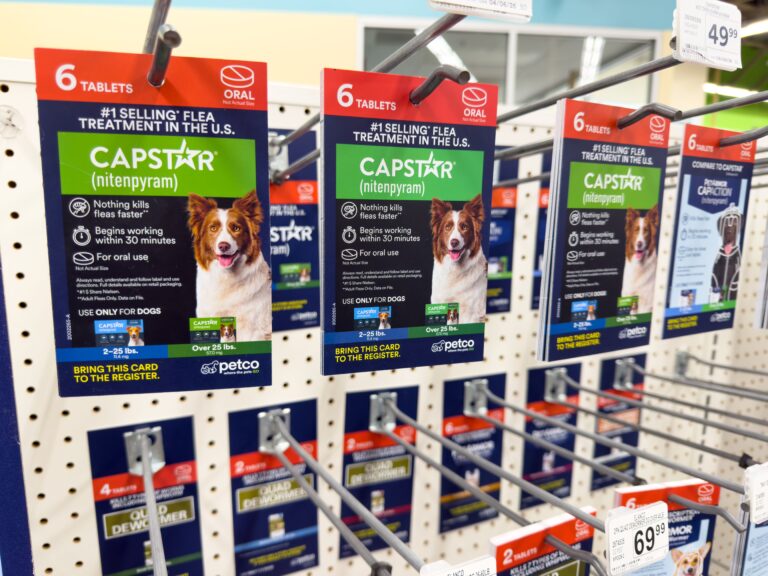 La FDA autoriza la primera prevención contra el gusano barrenador en perros y gatos con Capstar