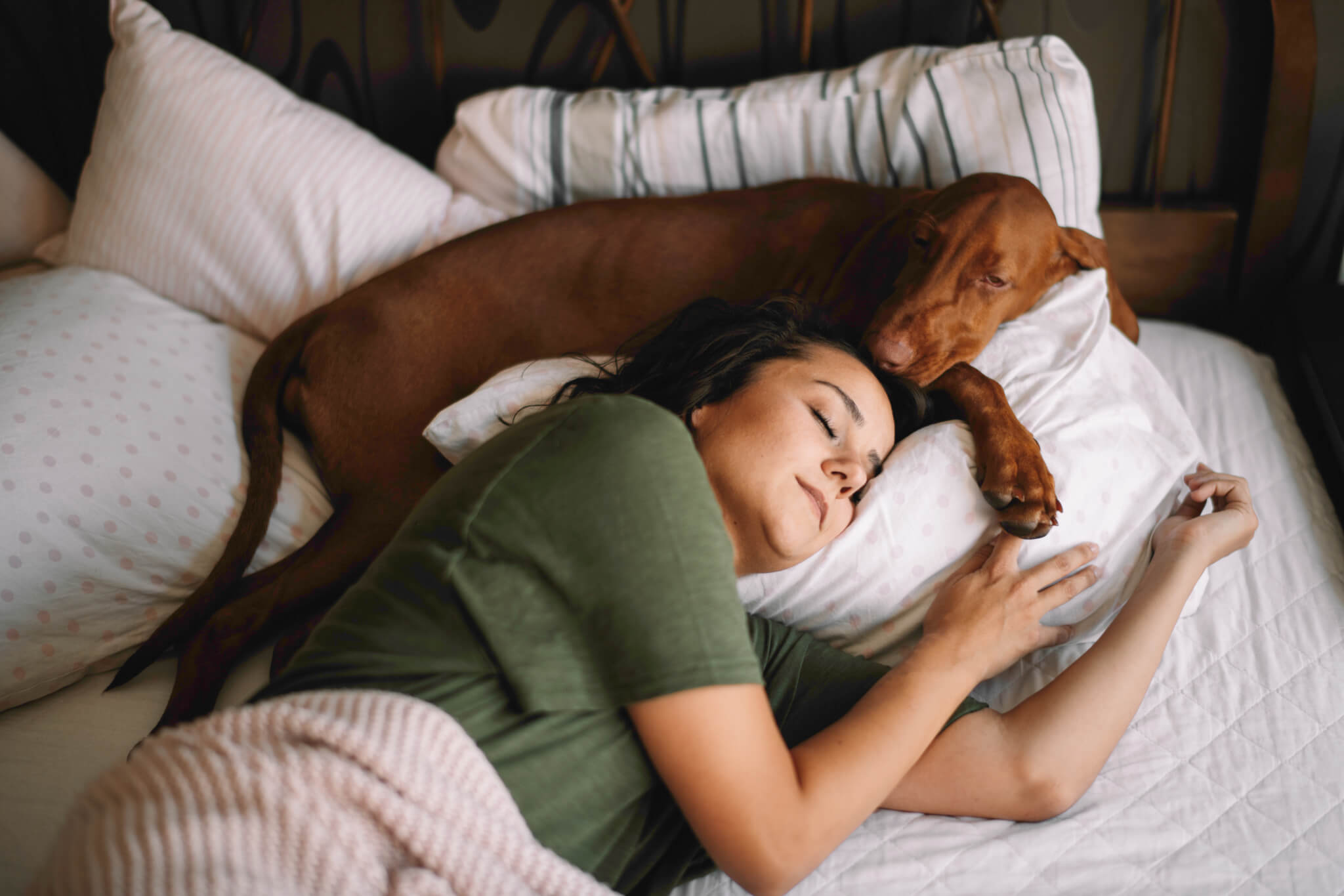 Dormir con tu perro no empeora tu sueño medido y el humano suele moverse primero