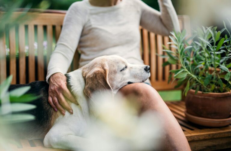 Leap busca startups científicas para que perros y gatos vivan más años con mejor salud