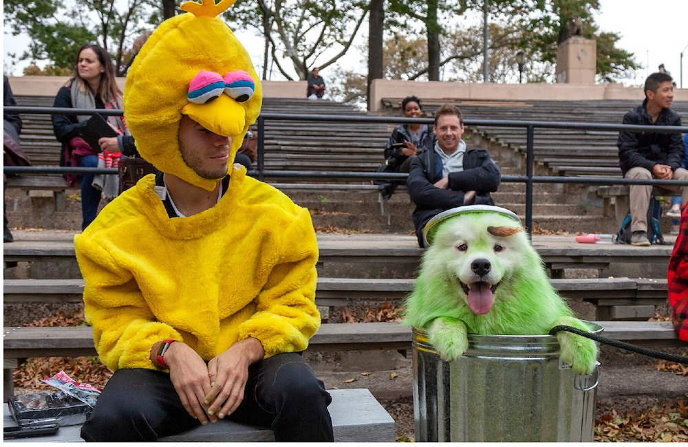 Los disfraces de perro más creativos vistos en el Halloween de Nueva York