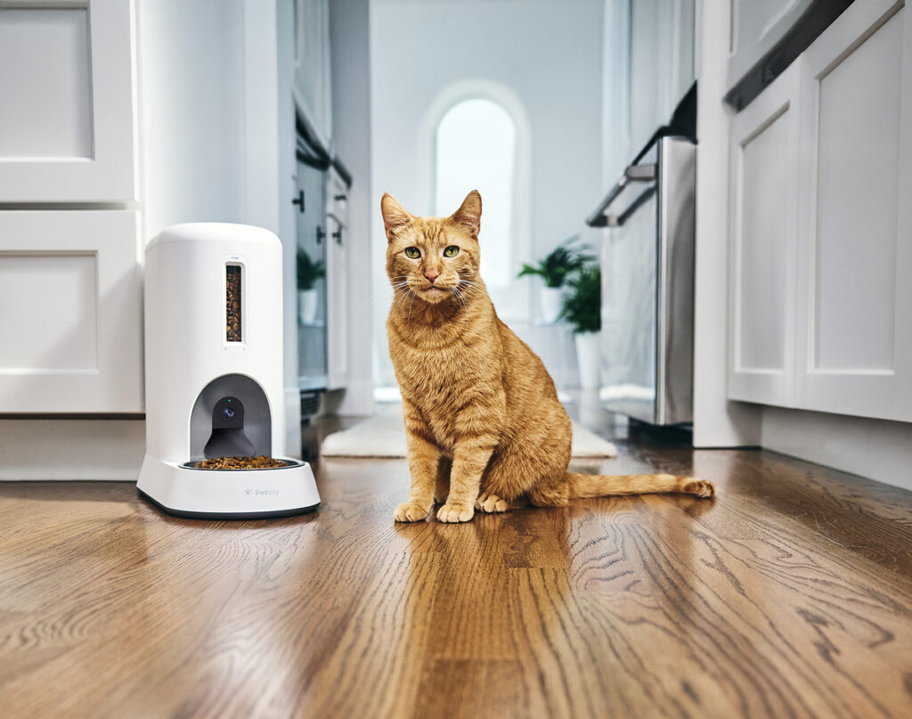 Petivity lanza su comedero inteligente para gatos y lo celebra alimentando gatos de refugio en vivo desde Nueva York