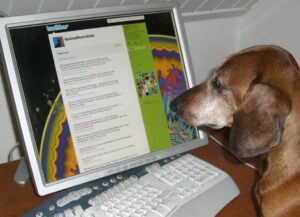 MetLife lleva su seguro para mascotas a ChatGPT con cotizacion conversacional y compra en su web