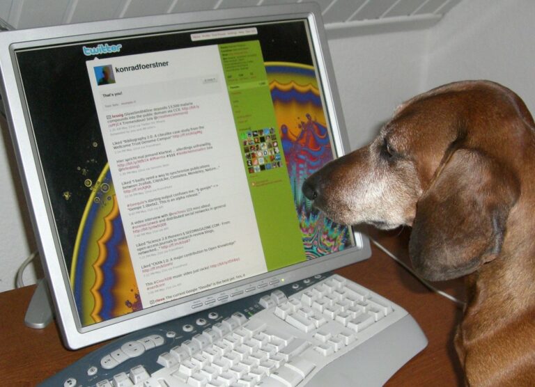 MetLife lleva su seguro para mascotas a ChatGPT con cotizacion conversacional y compra en su web