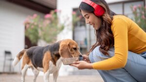 Mars y Big Idea Ventures impulsan tres startups que reinventan el alimento para mascotas